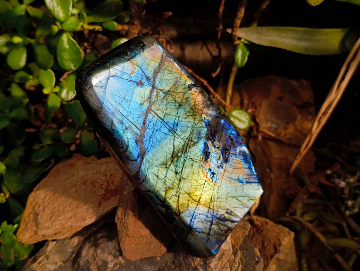 Polished Labradorite Standing Free Forms x 2 From Tulear, Madagascar - Toprock Gemstones and Minerals 