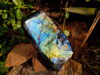 Polished Labradorite Standing Free Forms x 2 From Tulear, Madagascar
