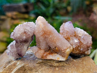 Natural Amethyst Spirit Quartz Specimens x 20 From Boekenhouthoek, South Africa - Toprock Gemstones and Minerals 