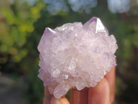 Natural Amethyst Spirit Quartz Specimens x 20 From Boekenhouthoek, South Africa - Toprock Gemstones and Minerals 