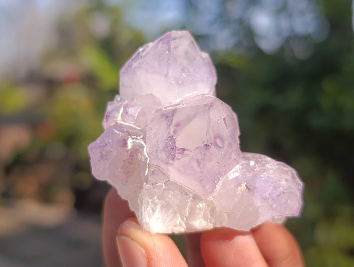 Natural Amethyst Spirit Quartz Specimens x 20 From Boekenhouthoek, South Africa - Toprock Gemstones and Minerals 