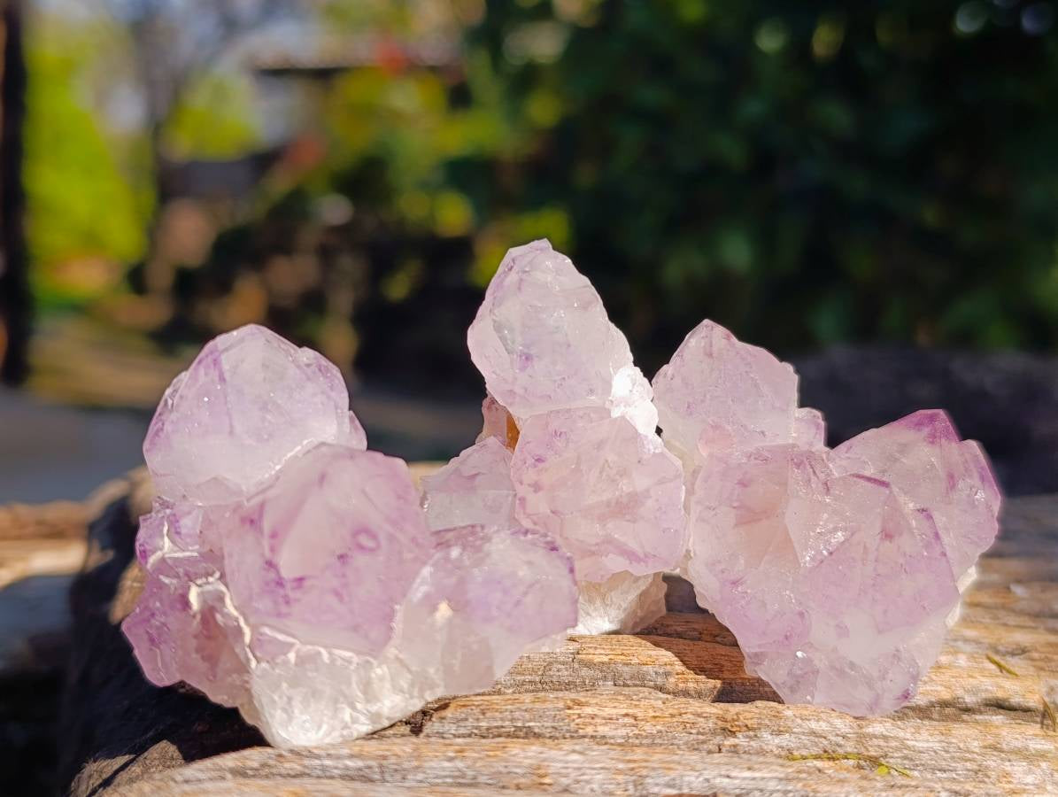 Natural Amethyst Spirit Quartz Specimens x 20 From Boekenhouthoek, South Africa - Toprock Gemstones and Minerals 
