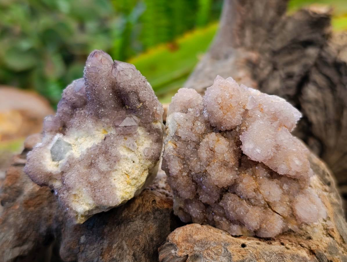 Natural Amethyst Spirit Quartz Specimens x 20 From Boekenhouthoek, South Africa - Toprock Gemstones and Minerals 