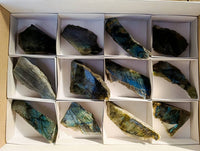 Polished On One Side Labradorite Slices x 12 From Tulear, Madagascar