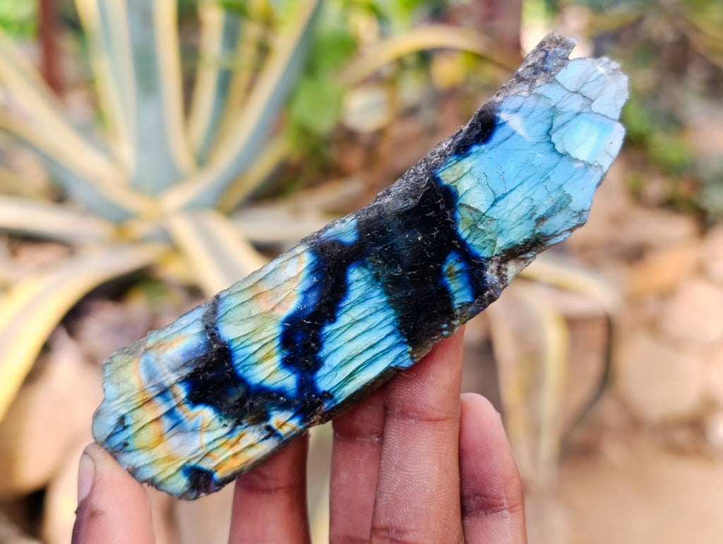 Polished On One Side Labradorite Slices x 12 From Tulear, Madagascar - Toprock Gemstones and Minerals 