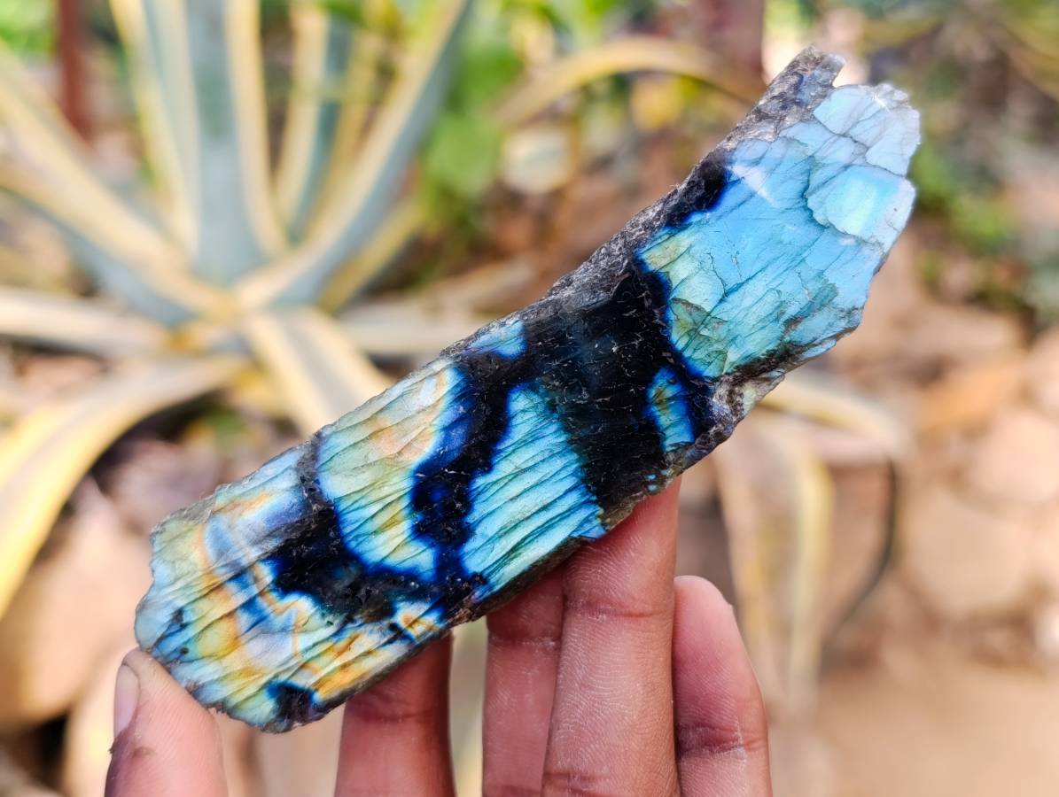 Polished On One Side Labradorite Slices x 12 From Tulear, Madagascar - Toprock Gemstones and Minerals 