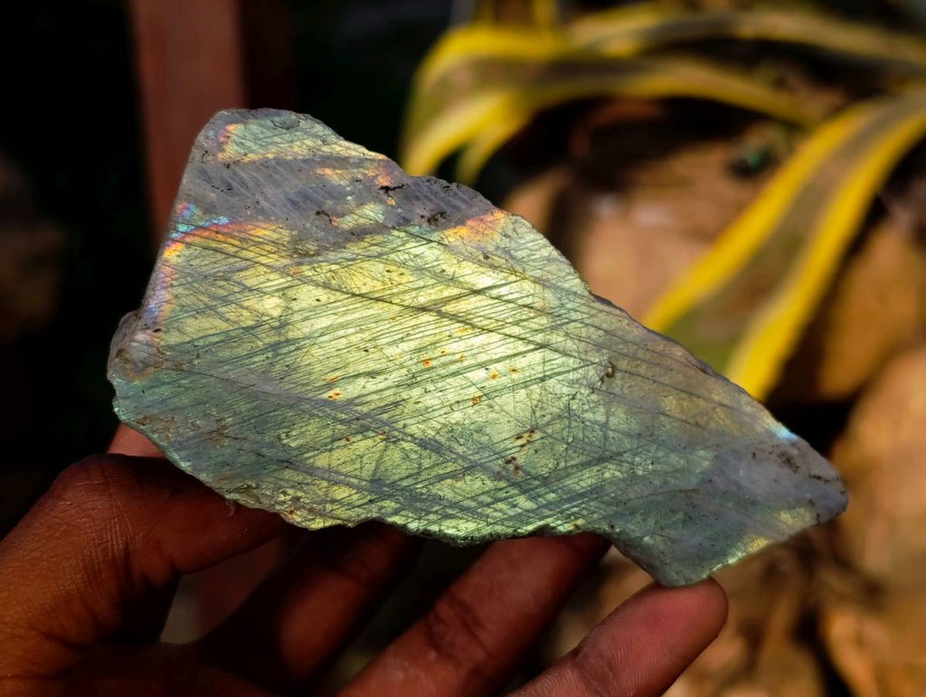 Polished On One Side Labradorite Slices x 12 From Tulear, Madagascar - Toprock Gemstones and Minerals 