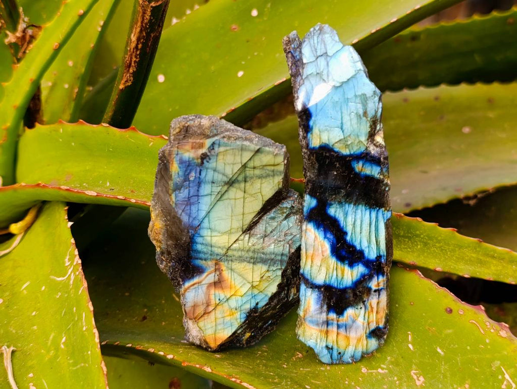 Polished On One Side Labradorite Slices x 12 From Tulear, Madagascar - Toprock Gemstones and Minerals 