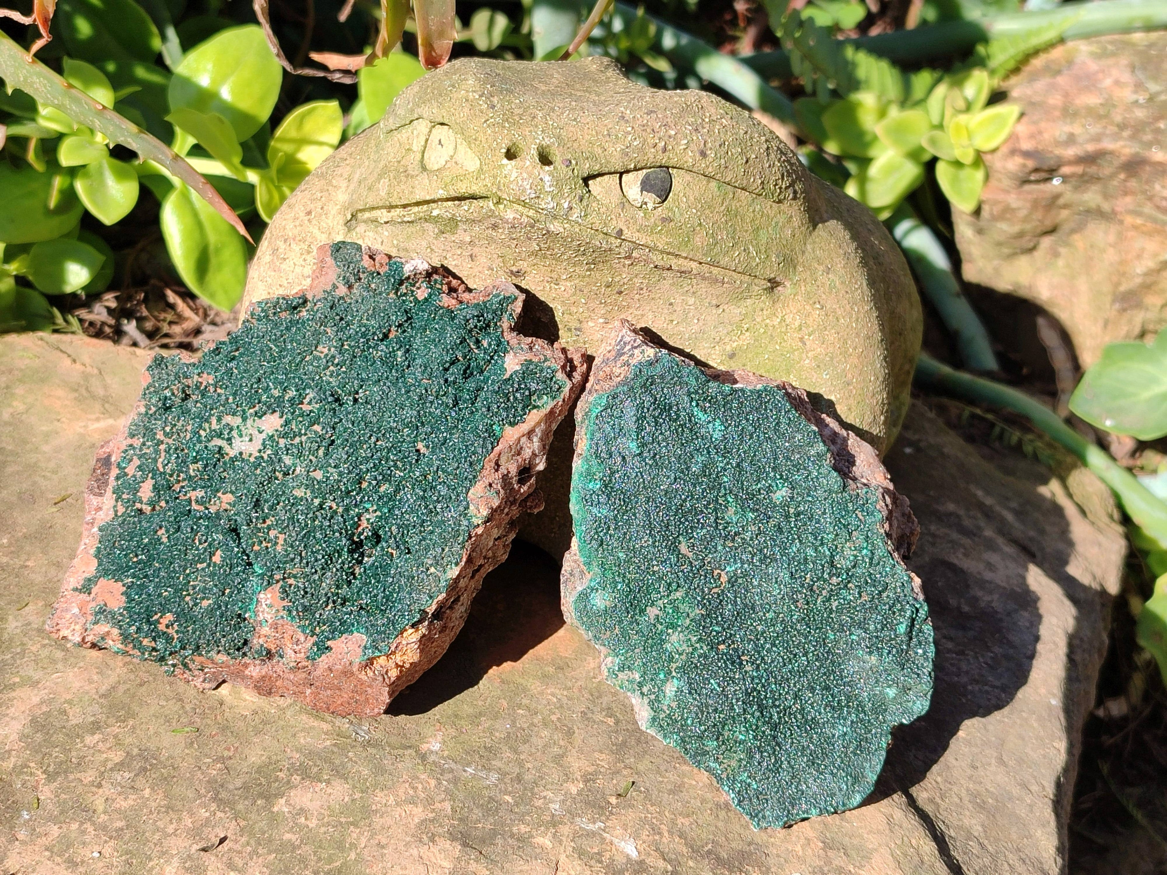 Natural Crystalline Malachite Specimens x 6 From Tenke Fungurume, Congo - Toprock Gemstones and Minerals 