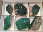 Natural Crystalline Malachite Specimens x 6 From Tenke Fungurume, Congo - Toprock Gemstones and Minerals 