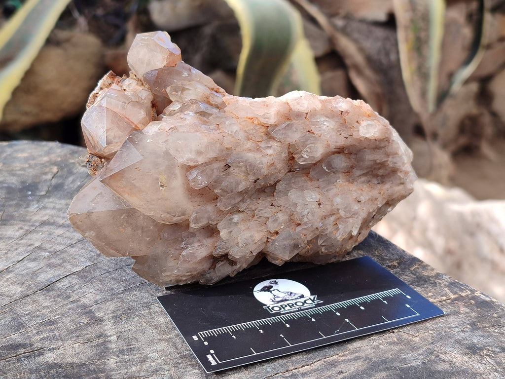 Natural Smokey Phantom Quartz Clusters x 3 From Luena, Congo - Toprock Gemstones and Minerals 
