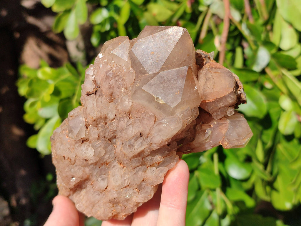 Natural Smokey Phantom Quartz Clusters x 3 From Luena, Congo - Toprock Gemstones and Minerals 