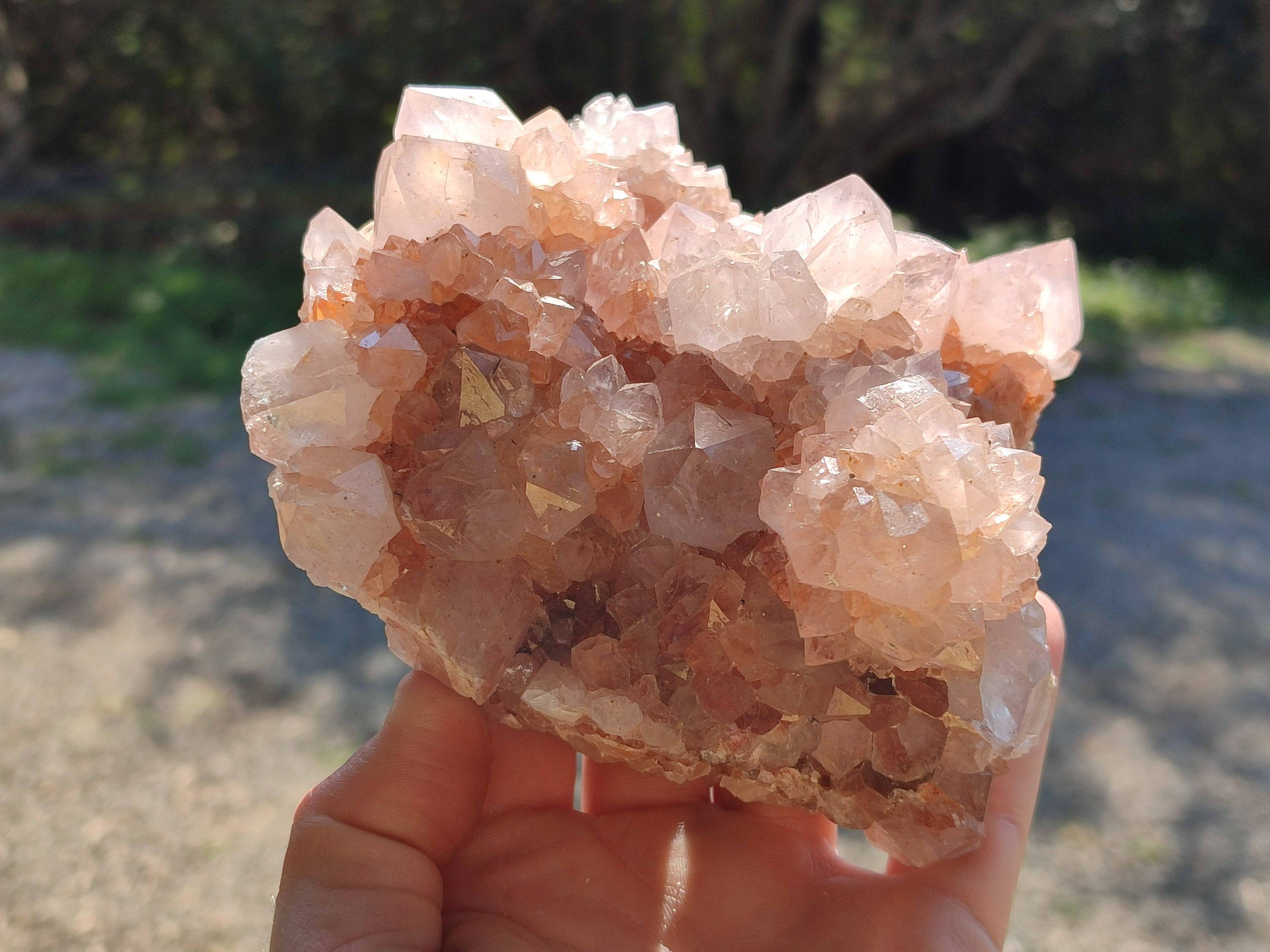 Natural Amethyst Spirit Quartz Clusters x 2 From Boekenhouthoek, South Africa - Toprock Gemstones and Minerals 
