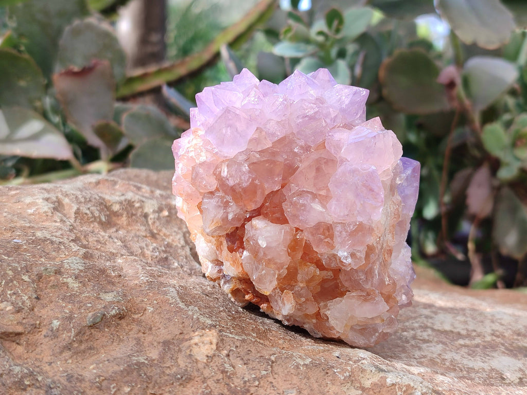 Natural Amethyst Spirit Quartz Clusters x 2 From Boekenhouthoek, South Africa - Toprock Gemstones and Minerals 