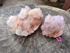 Natural Amethyst Spirit Quartz Clusters x 2 From Boekenhouthoek, South Africa - Toprock Gemstones and Minerals 