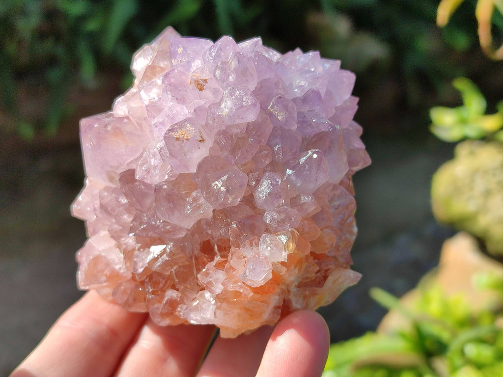 Natural Amethyst Spirit Quartz Clusters x 2 From Boekenhouthoek, South Africa - Toprock Gemstones and Minerals 