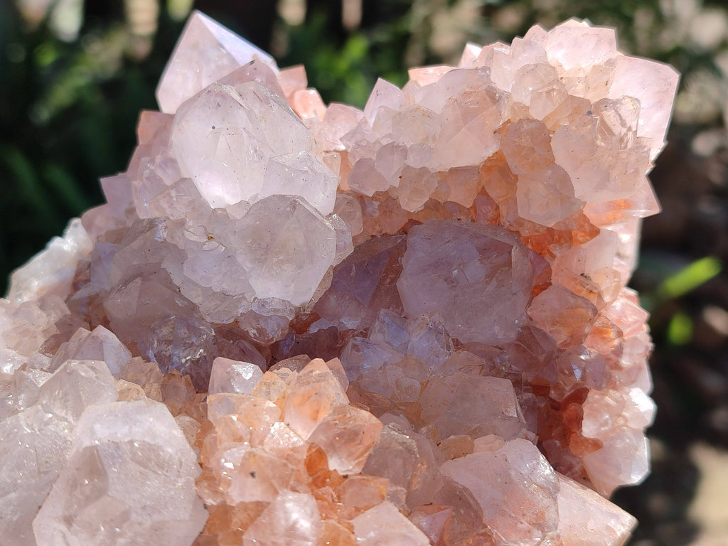 Natural Amethyst Spirit Quartz Clusters x 2 From Boekenhouthoek, South Africa - Toprock Gemstones and Minerals 