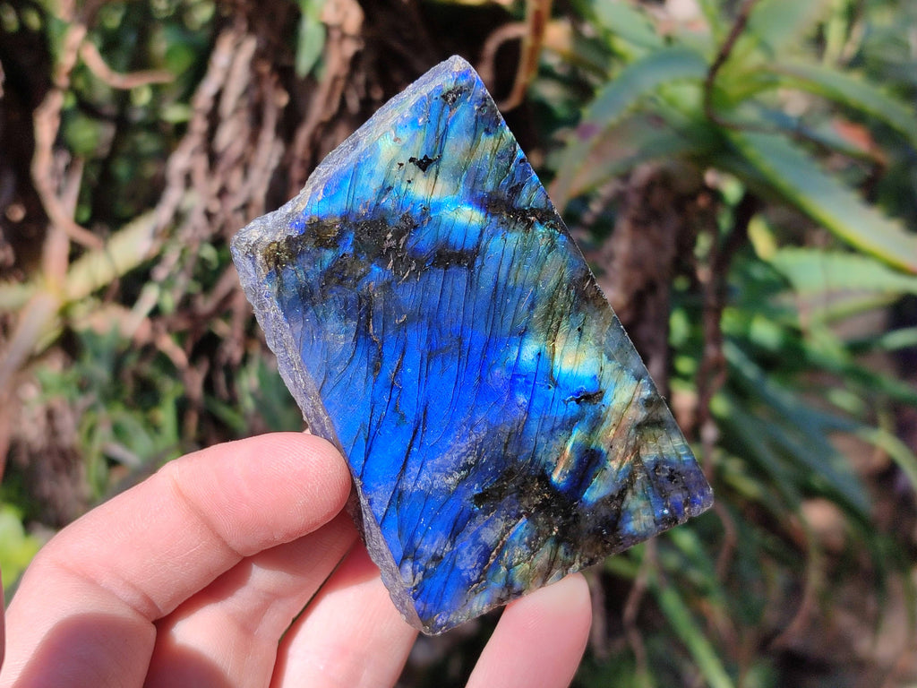 Polished On One Side Labradorite x 12 From Tulear, Madagascar - Toprock Gemstones and Minerals 
