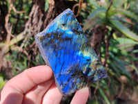 Polished On One Side Labradorite x 12 From Tulear, Madagascar - Toprock Gemstones and Minerals 