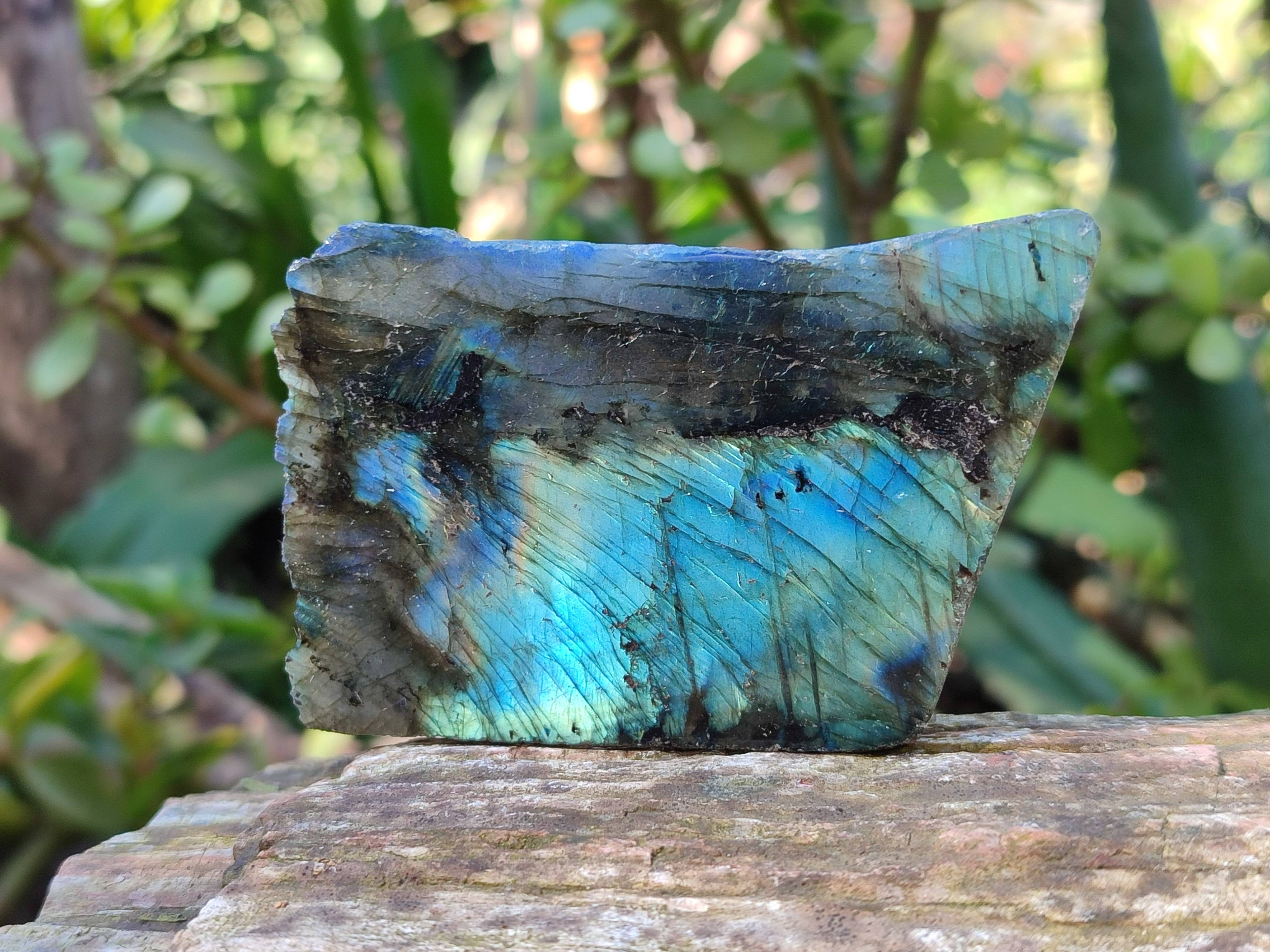 Polished On One Side Labradorite x 12 From Tulear, Madagascar - Toprock Gemstones and Minerals 