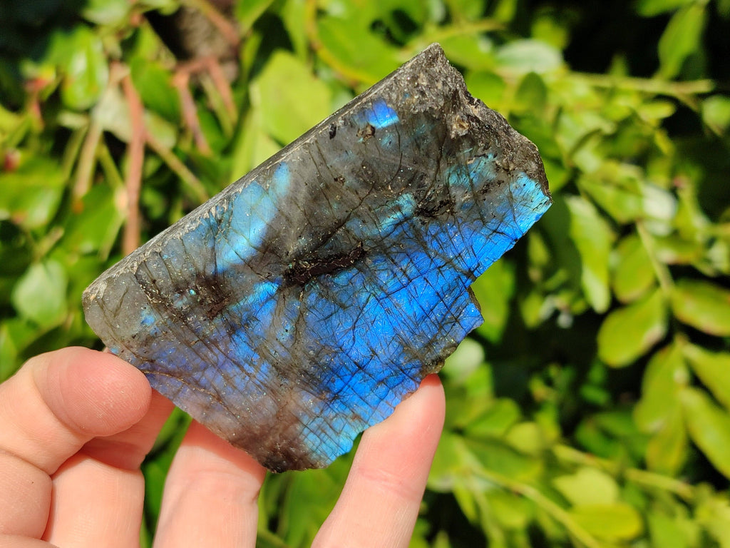 Polished On One Side Labradorite x 12 From Tulear, Madagascar - Toprock Gemstones and Minerals 