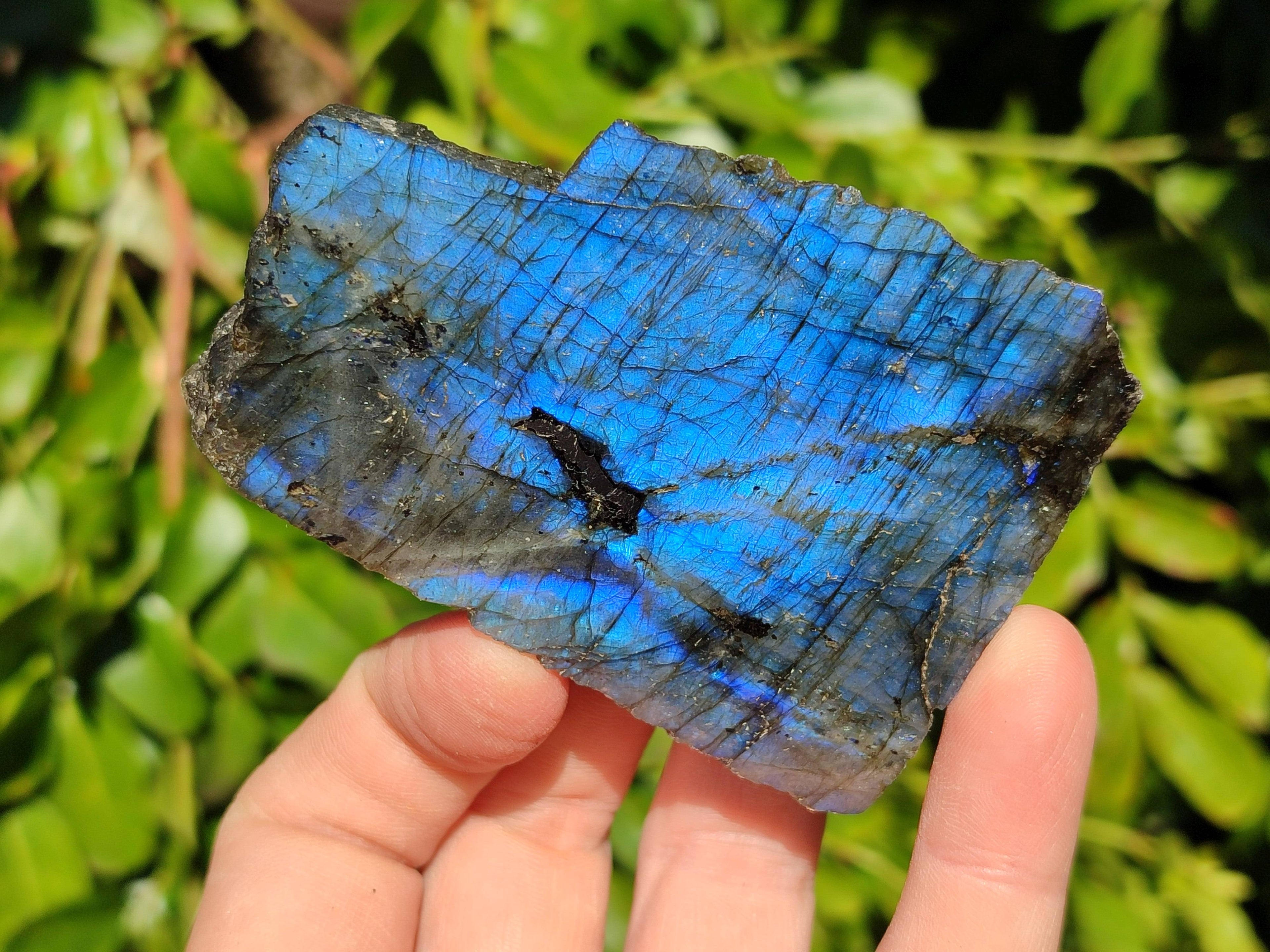 Polished On One Side Labradorite x 12 From Tulear, Madagascar - Toprock Gemstones and Minerals 