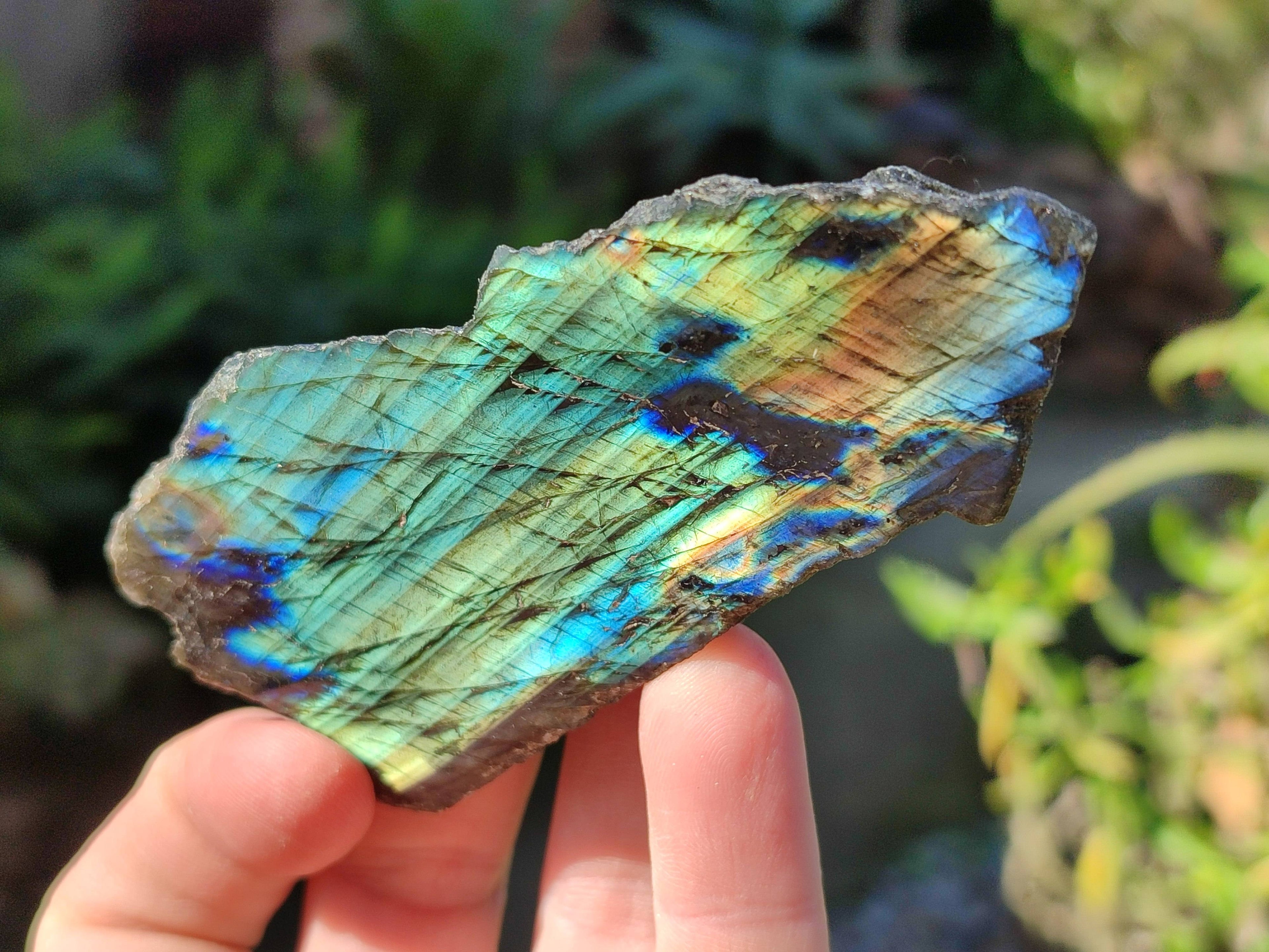 Polished On One Side Labradorite x 12 From Tulear, Madagascar - Toprock Gemstones and Minerals 