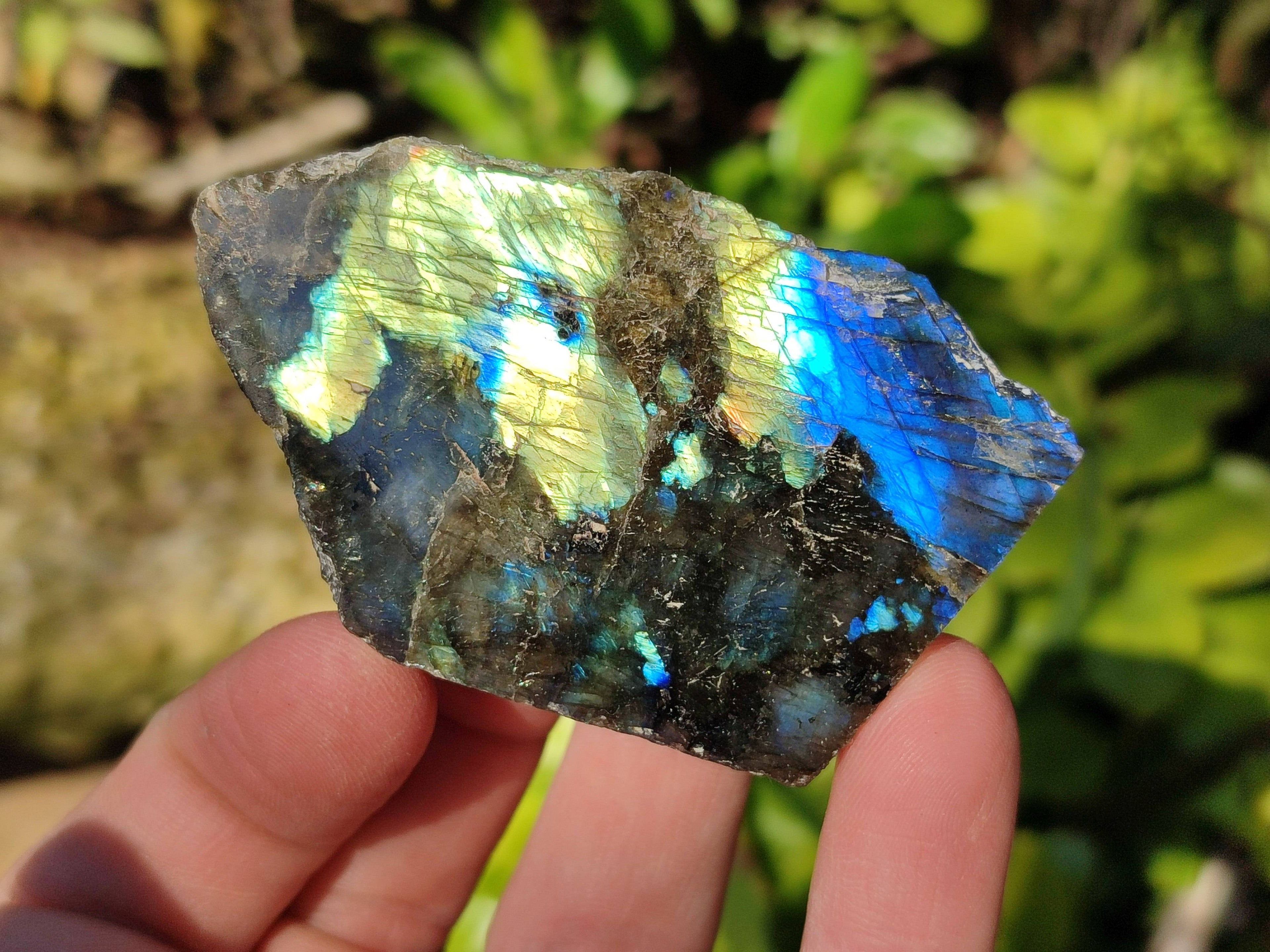 Polished On One Side Labradorite x 12 From Tulear, Madagascar - Toprock Gemstones and Minerals 