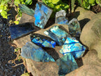 Polished On One Side Labradorite x 12 From Tulear, Madagascar - Toprock Gemstones and Minerals 