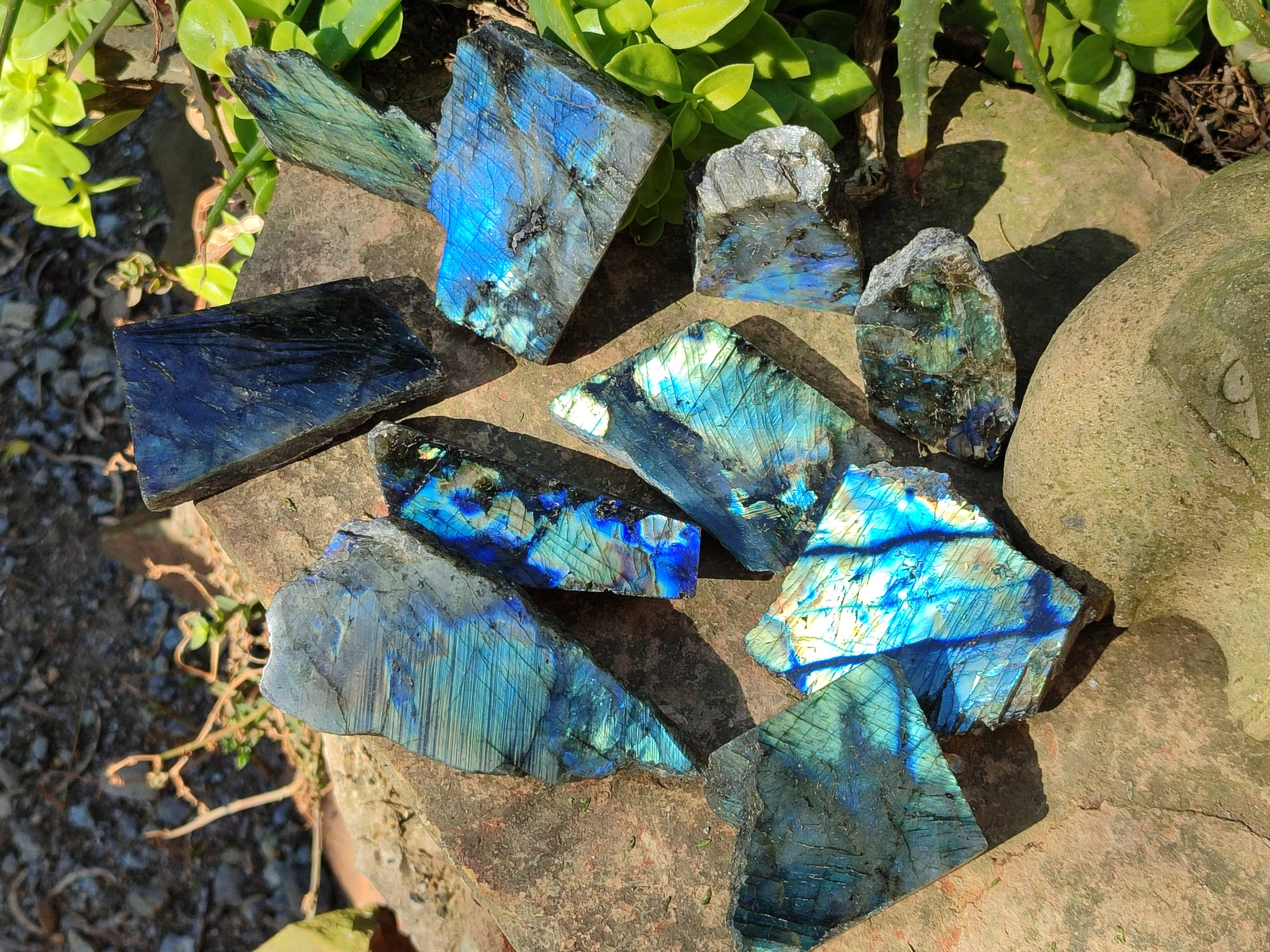 Polished On One Side Labradorite x 12 From Tulear, Madagascar - Toprock Gemstones and Minerals 