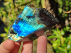 Polished On One Side Labradorite x 12 From Tulear, Madagascar - Toprock Gemstones and Minerals 
