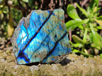 Polished On One Side Labradorite x 12 From Tulear, Madagascar - Toprock Gemstones and Minerals 