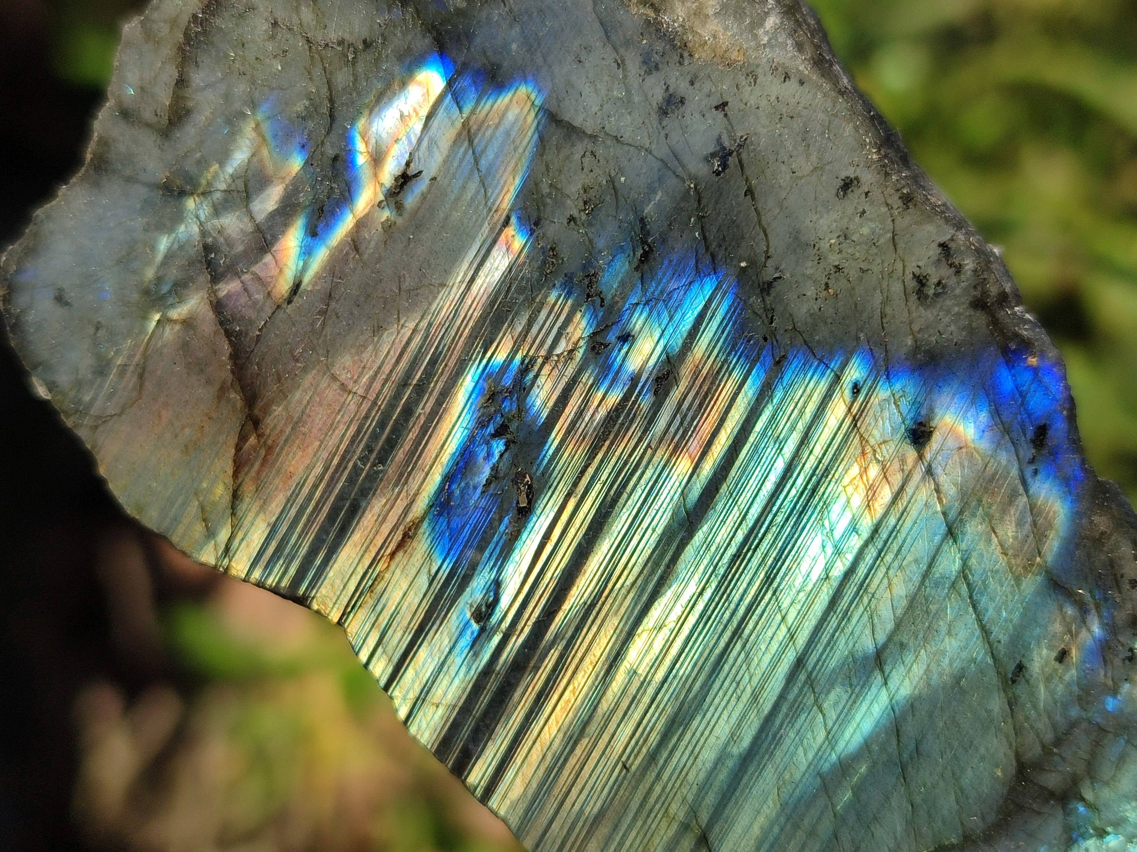Polished On One Side Labradorite x 12 From Tulear, Madagascar - Toprock Gemstones and Minerals 