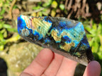 Polished On One Side Labradorite x 12 From Tulear, Madagascar - Toprock Gemstones and Minerals 