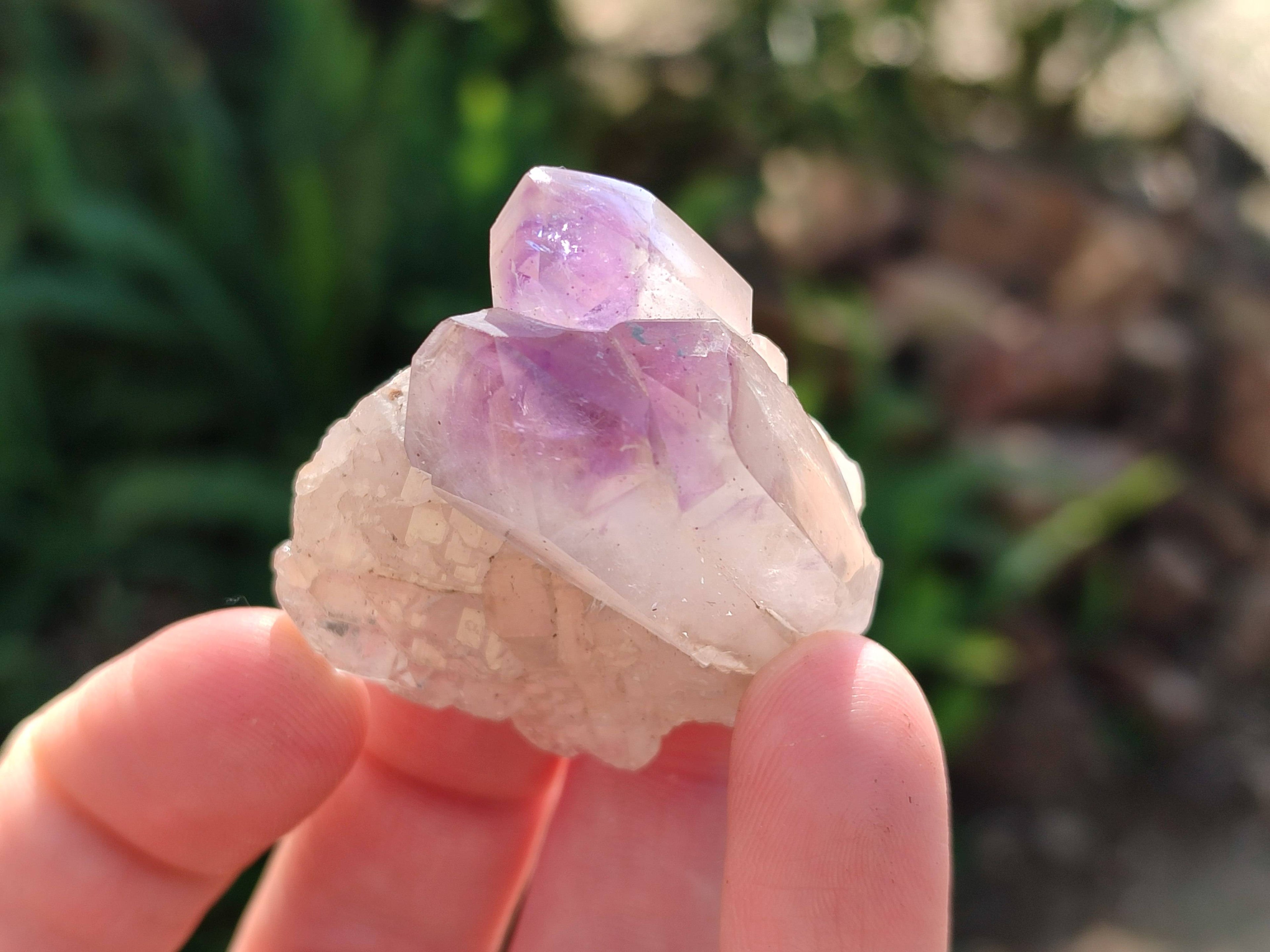 Polished Window Amethyst Crystals x 12 From Madagascar - Toprock Gemstones and Minerals 