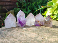 Polished Window Amethyst Crystals x 12 From Madagascar