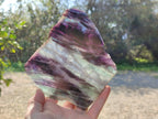 Polished Watermelon Fluorite Slices x 8 From Uis, Namibia - Toprock Gemstones and Minerals 