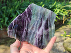 Polished Watermelon Fluorite Slices x 8 From Uis, Namibia - Toprock Gemstones and Minerals 