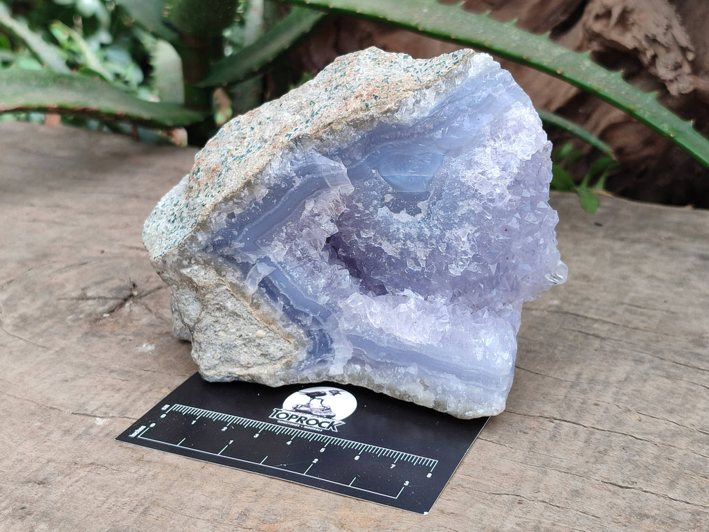 Natural Blue Lace Agate Geode Specimens x 6 From Malawi - Toprock Gemstones and Minerals 