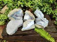 Natural Blue Lace Agate Geode Specimens x 6 From Malawi