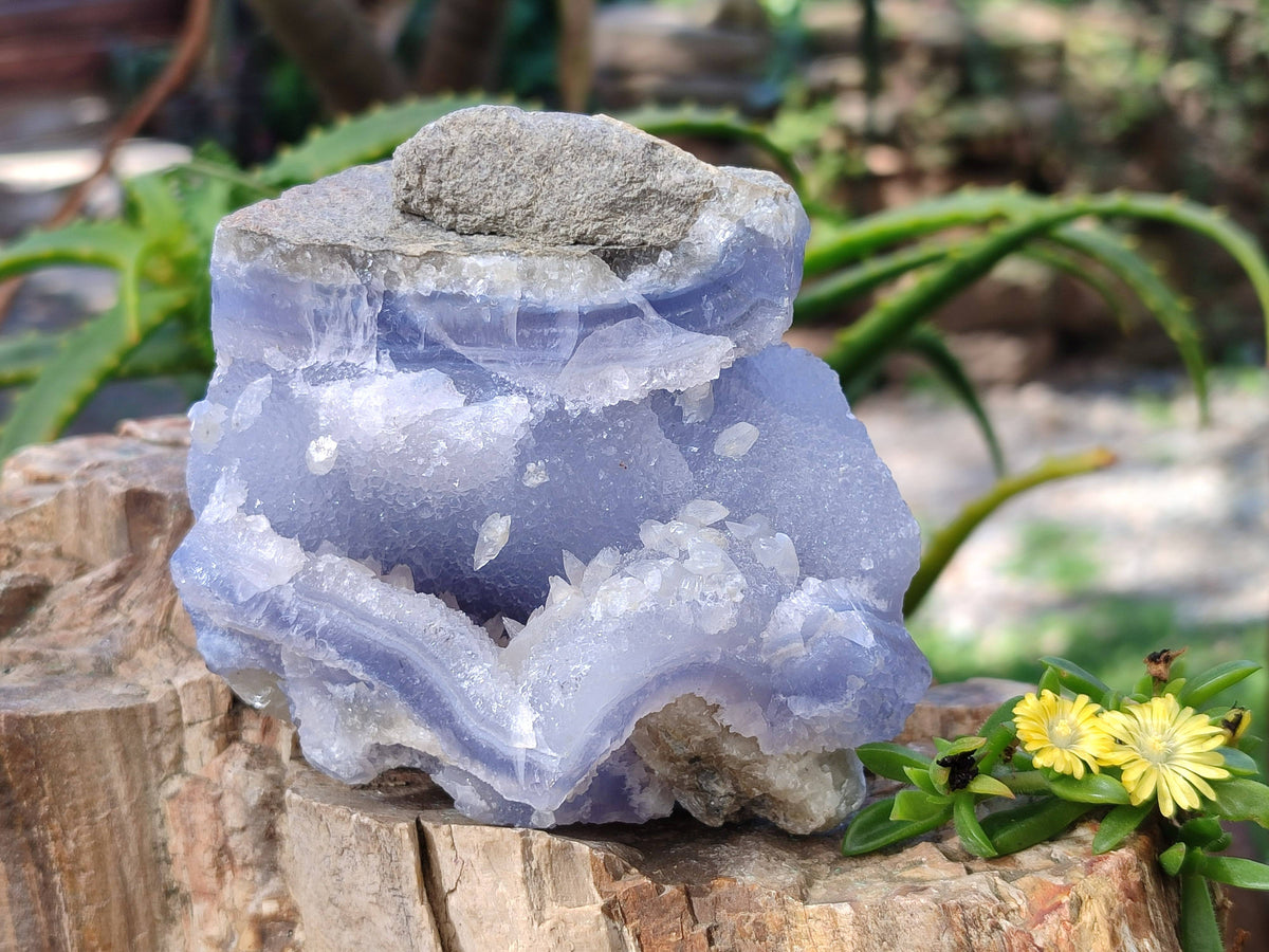 Natural Blue Lace Agate Geode Specimens x 6 From Malawi - Toprock Gemstones and Minerals 