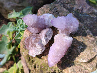 Natural Amethyst Spirit Quartz Crystals x 35 From Boekenhouthoek, South Africa