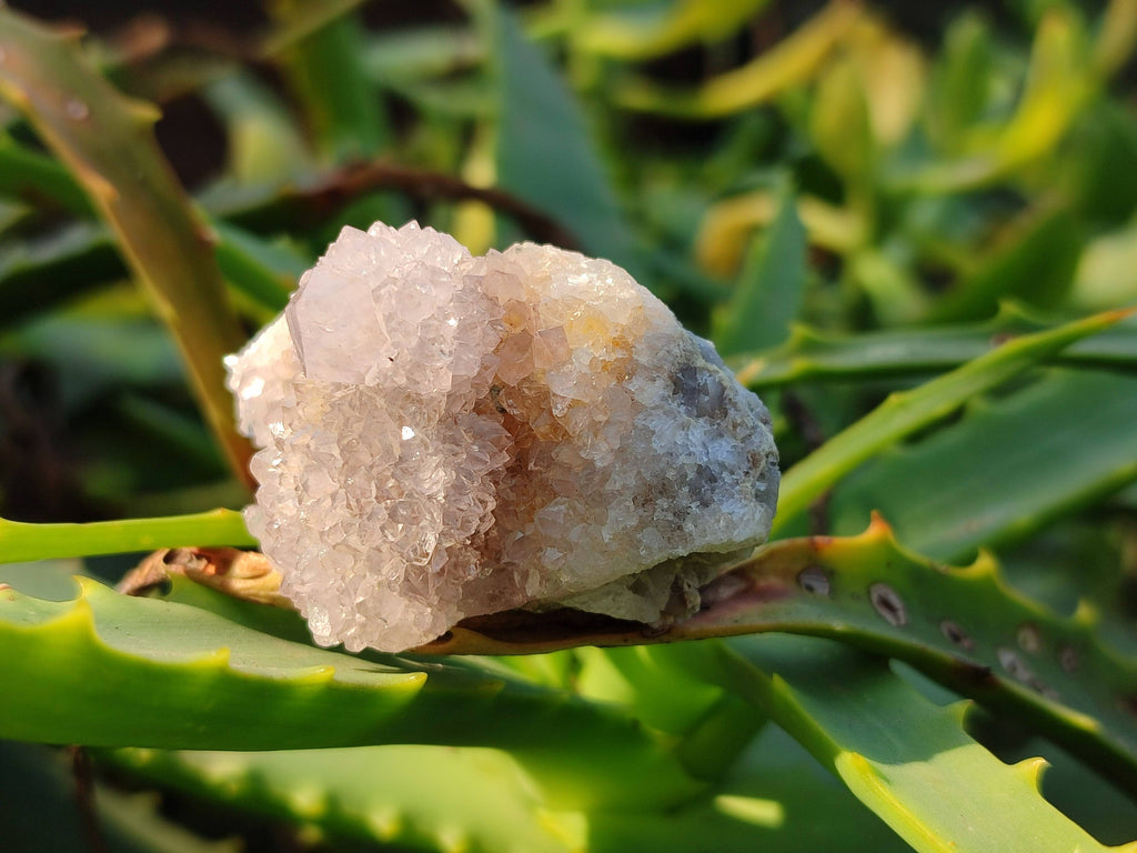 Natural Amethyst Spirit Quartz Crystals x 35 From Boekenhouthoek, South Africa - Toprock Gemstones and Minerals 