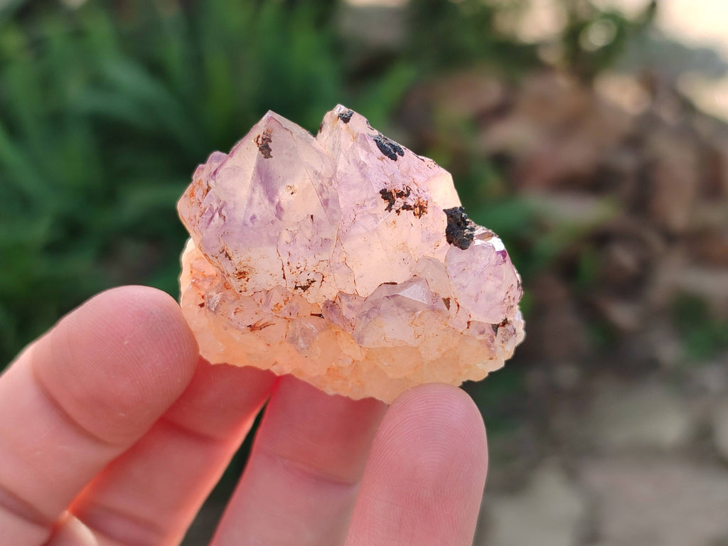 Natural Amethyst Spirit Quartz Crystals x 35 From Boekenhouthoek, South Africa - Toprock Gemstones and Minerals 