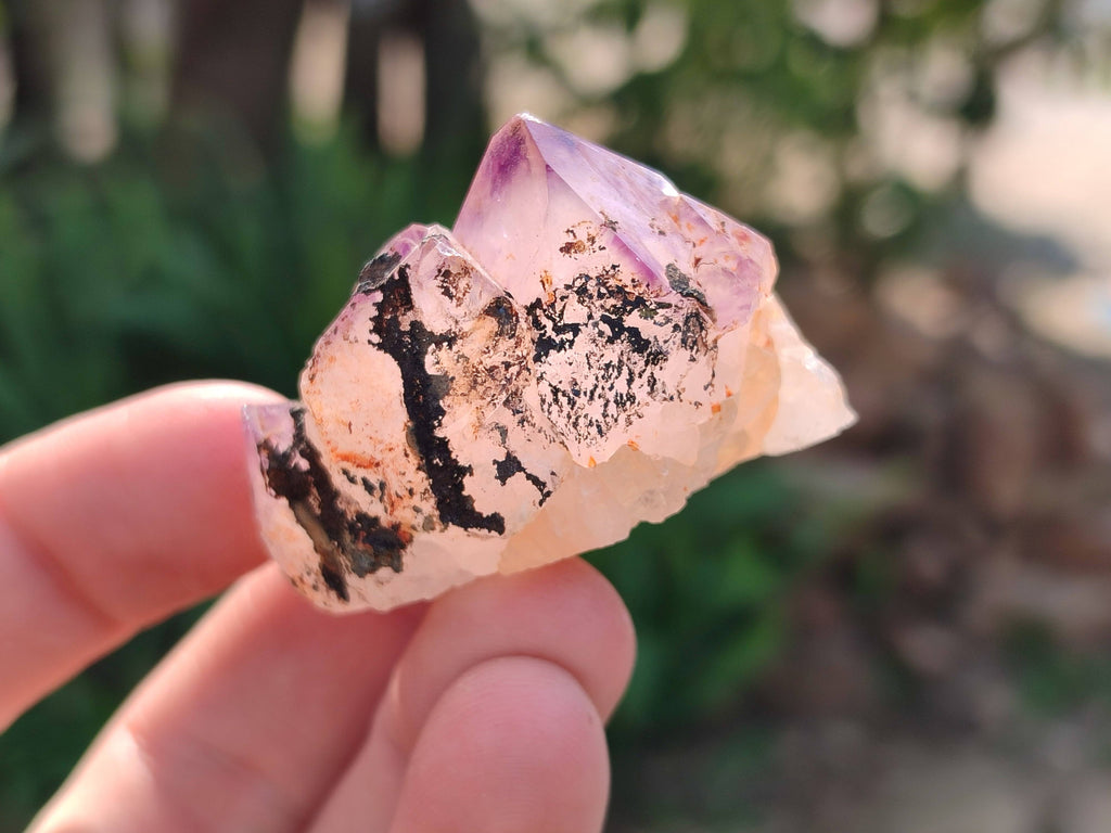 Natural Amethyst Spirit Quartz Crystals x 35 From Boekenhouthoek, South Africa - Toprock Gemstones and Minerals 