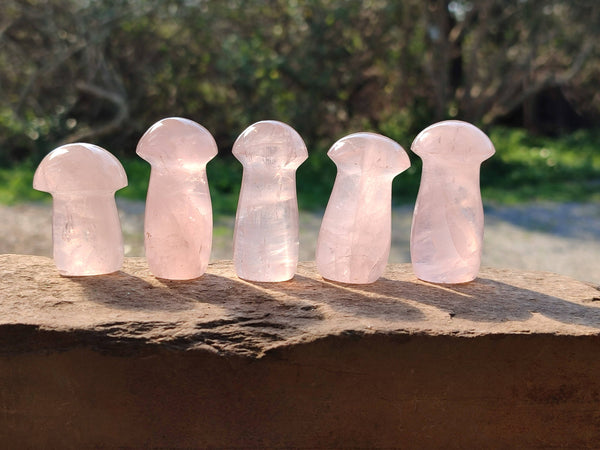 Polished Rose Quartz Mushrooms x 24 Madagascar