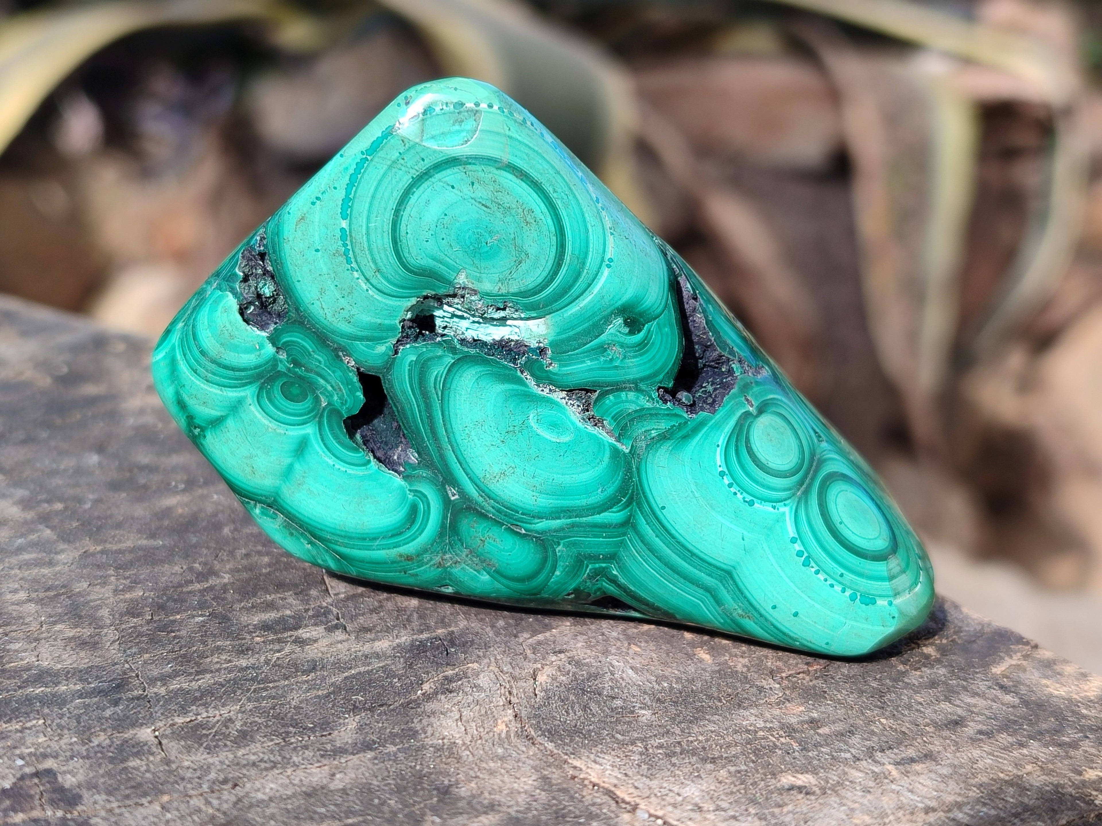 Polished Flower Malachite Free Forms x 6 From Congo - Toprock Gemstones and Minerals 