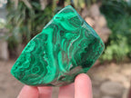 Polished Flower Malachite Free Forms x 6 From Congo - Toprock Gemstones and Minerals 