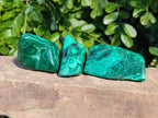 Polished Flower Malachite Free Forms x 6 From Congo - Toprock Gemstones and Minerals 