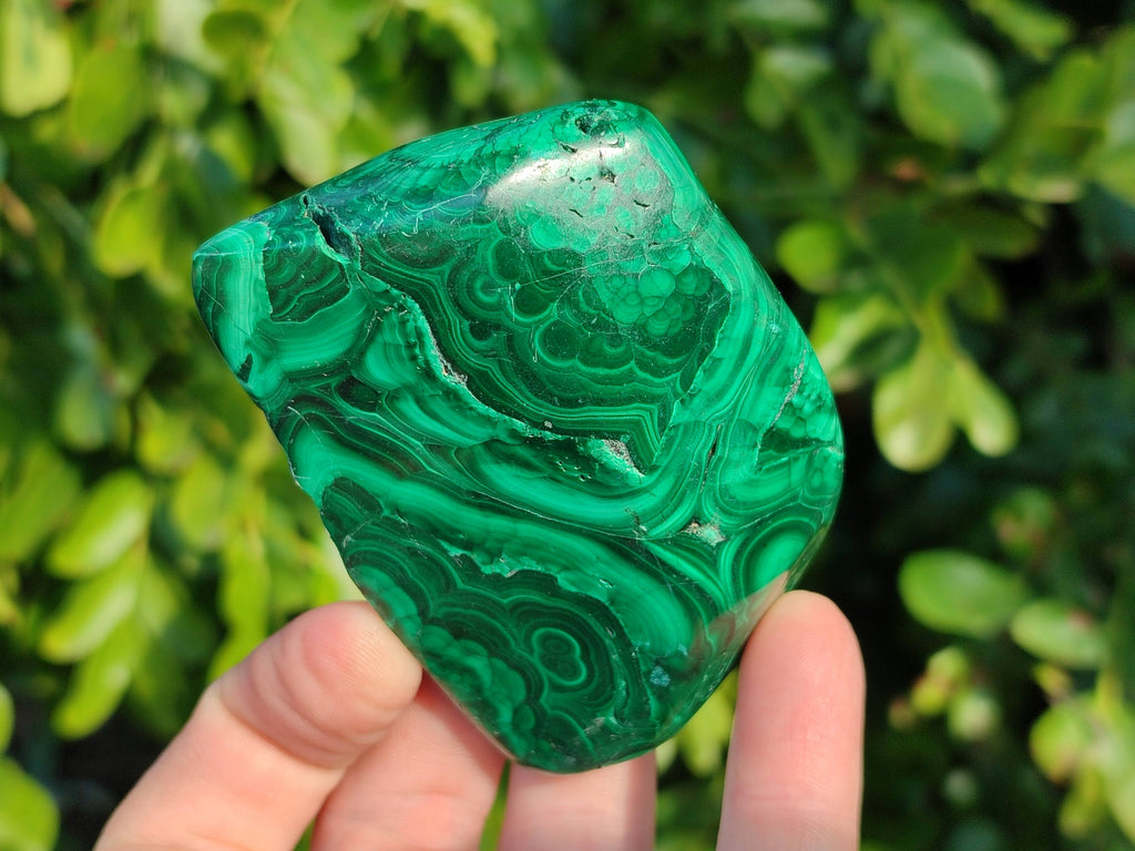 Polished Flower Malachite Free Forms x 6 From Congo - Toprock Gemstones and Minerals 